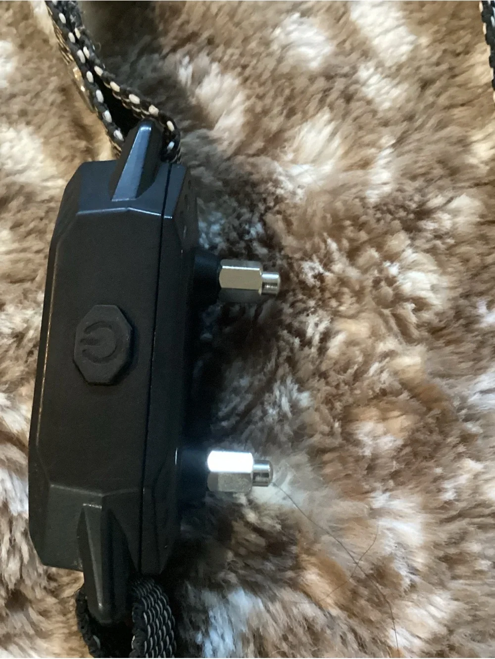 Dog Training Collar in Black - TF-X1
